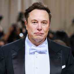 Elon Musk behauptet dass Twitter wegen wuetender Aktivisten viel Geld