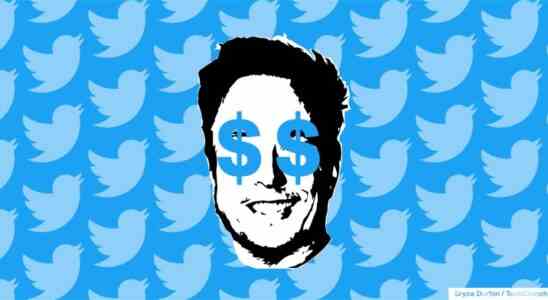 Elon Musk bietet ein Twitter Abonnement im Wert von 8 US Dollar