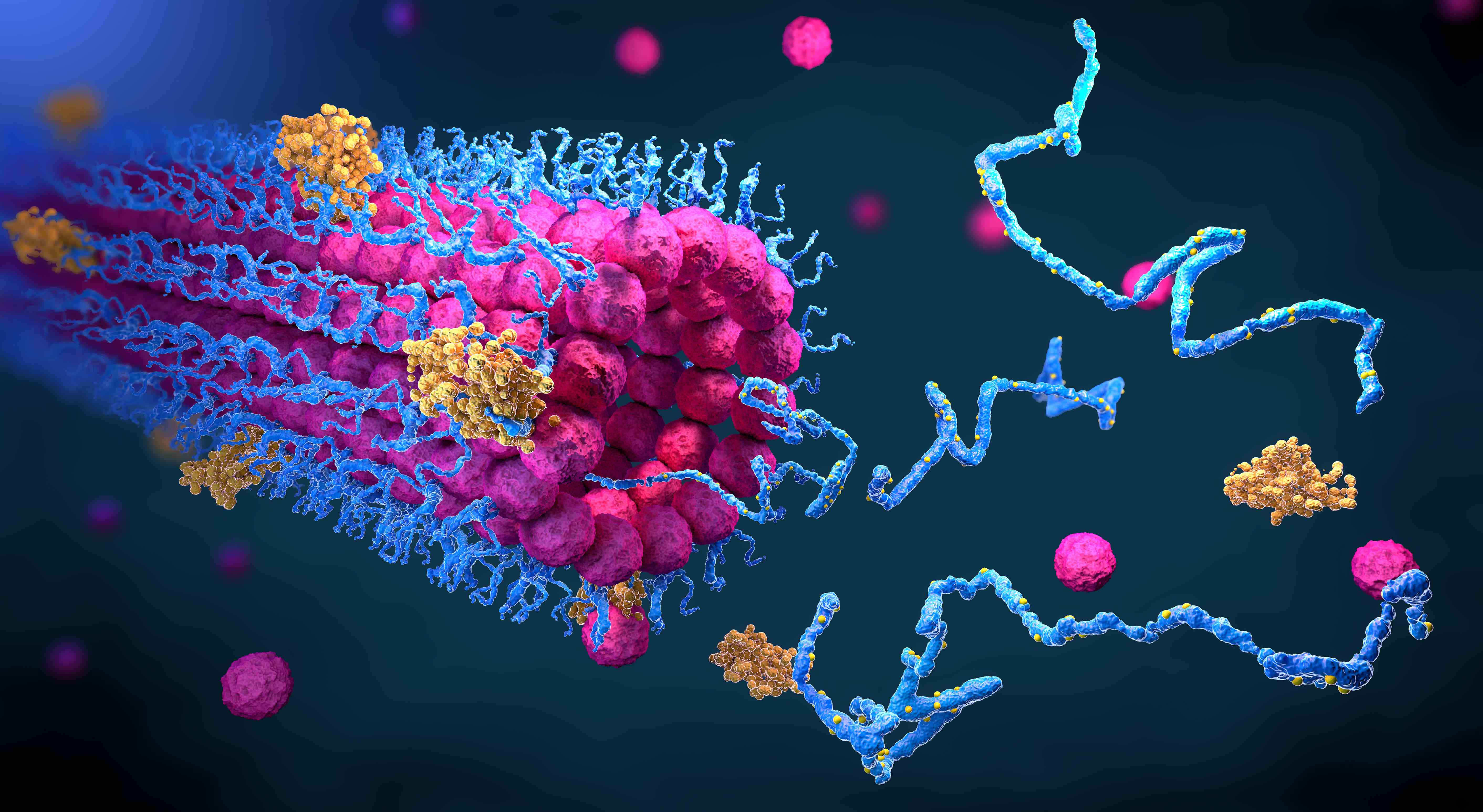 Stabilitaets KI unterstuetzt Bemuehungen maschinelles Lernen in Biomed zu bringen •