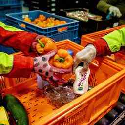 Taschen mit kostenlosen Lebensmitteln die an die Food Bank gespendet