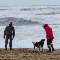 Wettervorhersage Code Gelb fuer Kuestenprovinzen wegen starker Windboeen JETZT