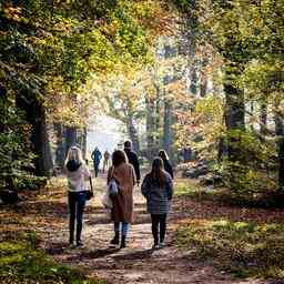 Wettervorhersage Sonniges Herbstwetter mit angenehmen Temperaturen aber kalten Naechten