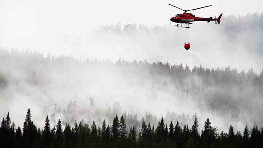 1670836089 442 Duerre Feuer und Kaeferplage Europaeischer Wald leidet unter Klimawandel