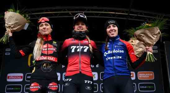 Van der Poel stuerzt im Superprestigecross Pidcock solo zum Sieg