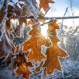 Wettervorhersage Code gelb wegen Glaettegefahr sonst sonnig und kalt