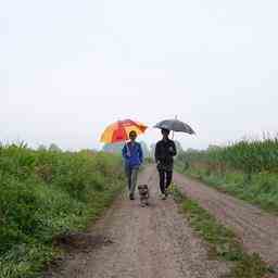 Woechentlicher Wetterbericht Letzte Woche des Jahres ist mild und wechselhaft