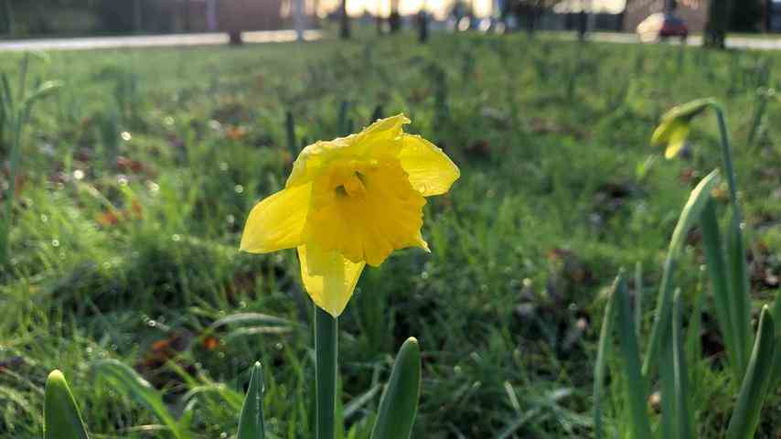 1673237108 294 Nach Fruehlingswetter hofft man fuer Obstbauern und die Natur dass