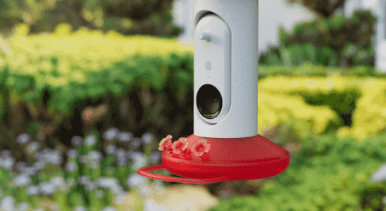 Bird Buddys neuer intelligenter Futterspender fuer Kolibris kann 350 verschiedene