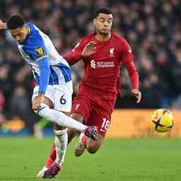 Das schwache Liverpool trifft beim Premier League Debuet Gakpo auf einen