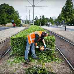 Das verdient ein Parkmitarbeiter Arbeit