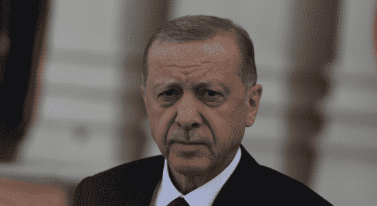 Der tuerkische Praesident Erdogan sagt Finnland koenne der Nato ohne