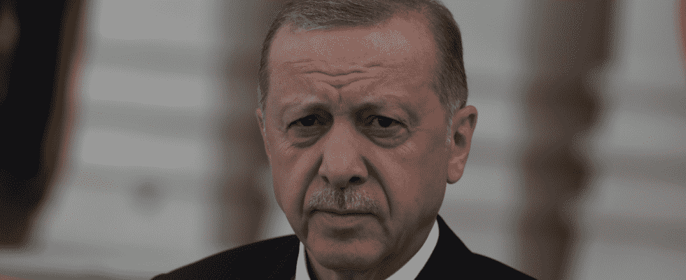 Der tuerkische Praesident Erdogan sagt Finnland koenne der Nato ohne