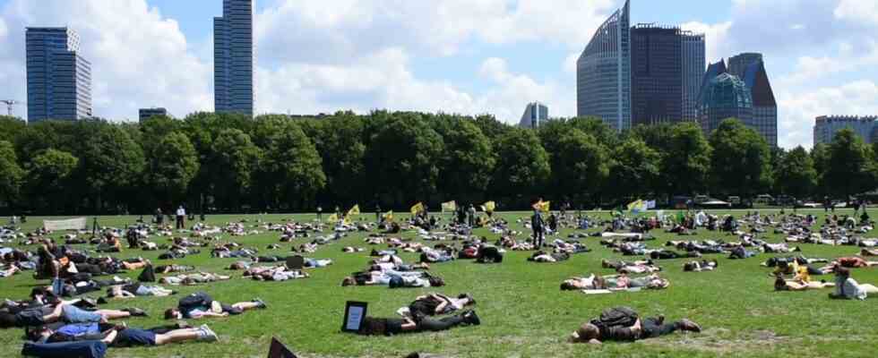 Deshalb sind Slogans wie „White Lives Matter und die „Vierzehn