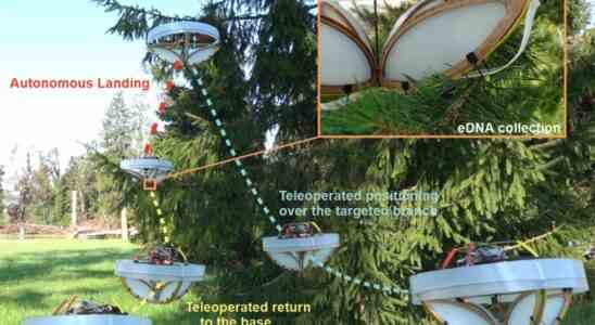Diese sanfte Drohne sammelt lose DNA von schwankenden Aesten •