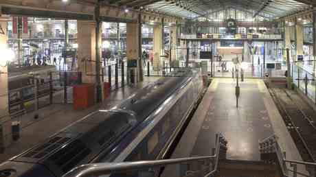 Mehrere Verletzte bei Messerattacke am Bahnhof in Paris — World