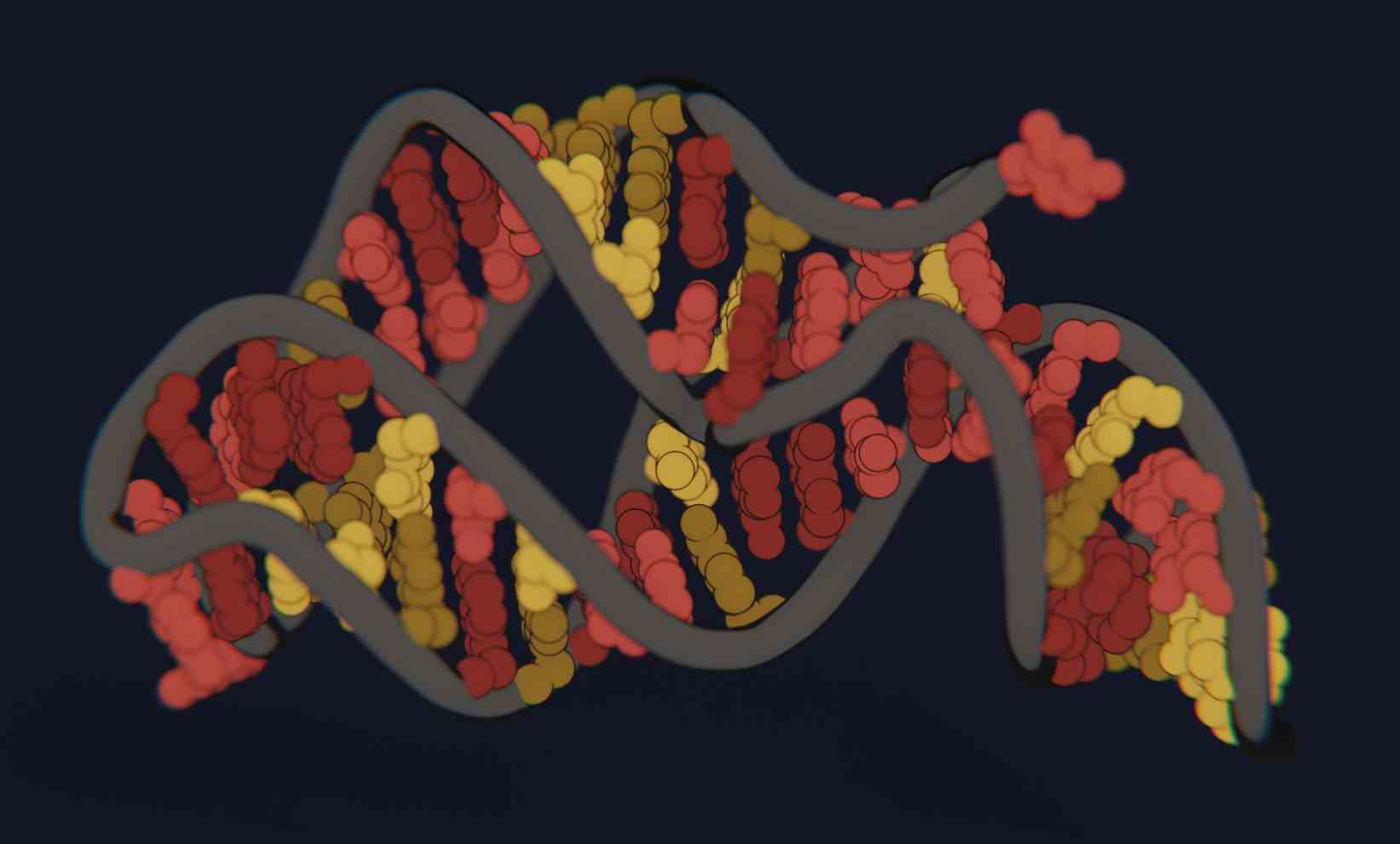 Mit neuer Finanzierung sieht Atomic AI RNA als die naechste