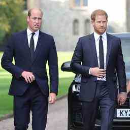 Prinz Harry sagt William habe ihn waehrend des Kampfes um