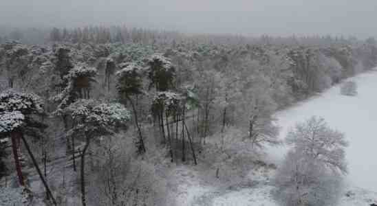 Staus wegen Winterwetter in Nordbrabant weniger Flugzeuge von und nach