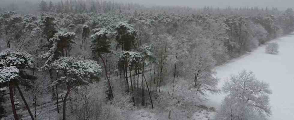 Staus wegen Winterwetter in Nordbrabant weniger Flugzeuge von und nach