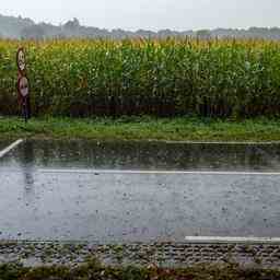 Wettervorhersage Code gelb fuer Windboeen im Nordwesten viel Regen am