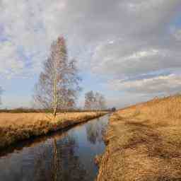 Wettervorhersage Code gelb wegen Glaette durch Frost oder Schneerueckstaende