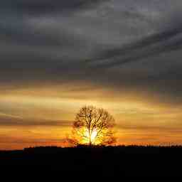 Wettervorhersage Milde Temperaturen und allmaehlich nachlassender Wind Innere