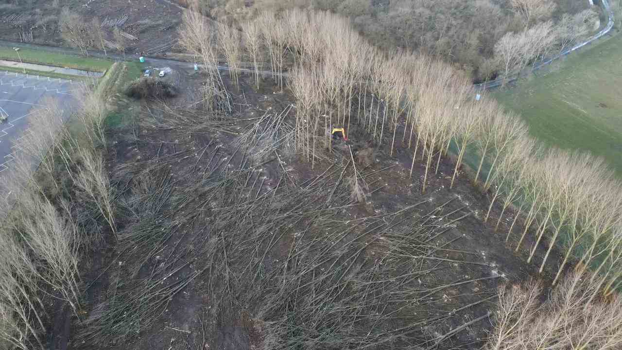 Beeld uit video: Dronebeelden tonen gekapte bomen Sterrebos na protest