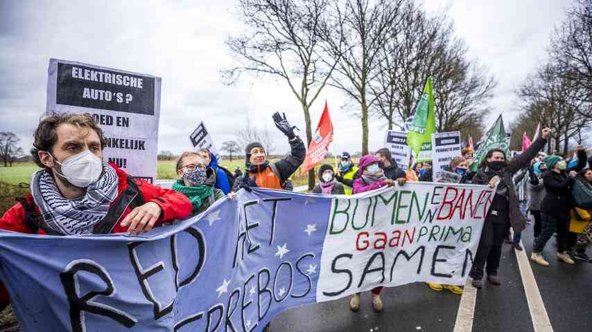 1675847961 593 Ein Jahr nach dem Faellen Sind die Sterrebos umsonst verschwunden