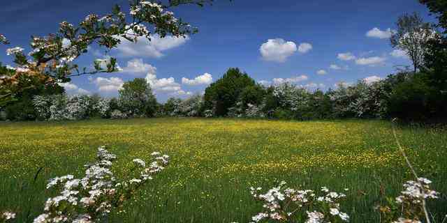 1676525136 595 Millionen Kilo zusaetzlicher Stickstoff weil Landwirte illegal Land beanspruchen