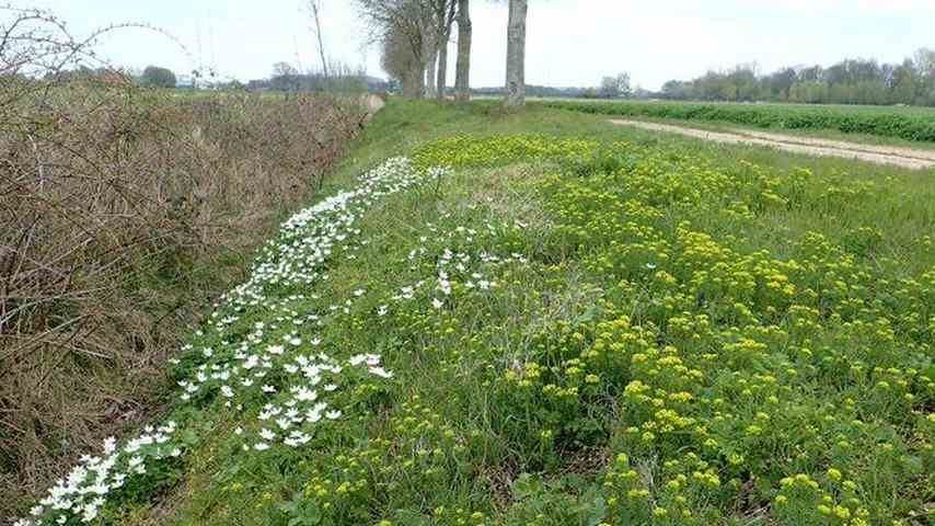 1676525136 640 Millionen Kilo zusaetzlicher Stickstoff weil Landwirte illegal Land beanspruchen