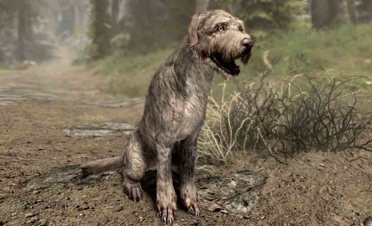 Anstatt eine einfache Nebenquest abzuschließen, warum verwandeln Sie den sprechenden Hund-NPC Barbas nicht in Ihren reisenden besten Freund in The Elder Scrolls V: Skyrim