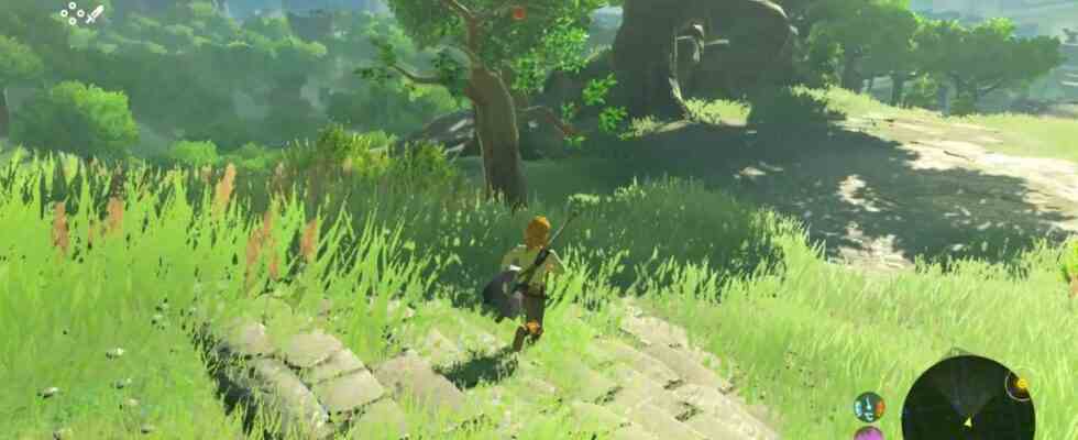 Breath of the Wild ist immer noch das beste Switch Spiel