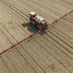 Gluecksfall fuer Landwirte Internationaler Duengemittelpreis jetzt niedriger als vor dem