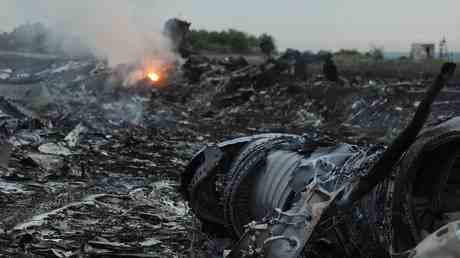 MH17 Sonde ausgesetzt — World