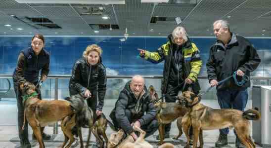 Nur einen Tag zurueck aus der Tuerkei springt der Rettungshund