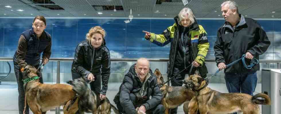 Nur einen Tag zurueck aus der Tuerkei springt der Rettungshund