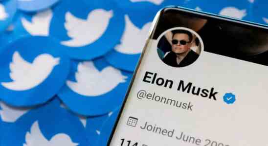 Rueckenschmerzen Schlafmangel Der Twitter Effekt auf Elon Musk