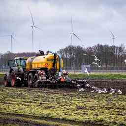 Stickstoffemissionen sinken aber Regierungsziel fuer die Landwirtschaft noch nicht in