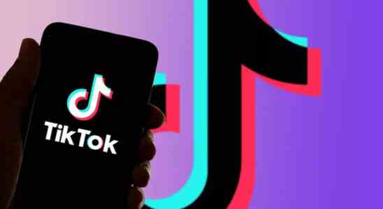 Warum Laender TikTok auf Regierungsgeraeten verbieten