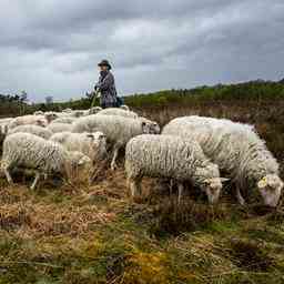 Wettervorhersage Viele Wolken und oertlich Regenschauer Innere