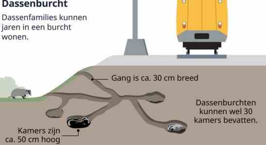 Bahnstrecke zwischen Eindhoven und Den Bosch nach Verspaetungen wegen Dachsen