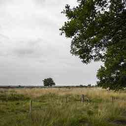 Beteiligen Sie sich am Gespraech ueber die Provinzratswahlen in Nordbrabant