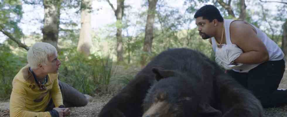 Cocaine Bear ist ein abgepackter Kulthit