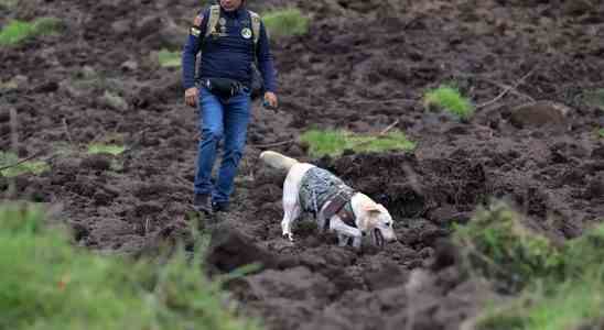 Erdrutsch in Ecuador toetet mindestens 7 Menschen Dutzende werden vermisst