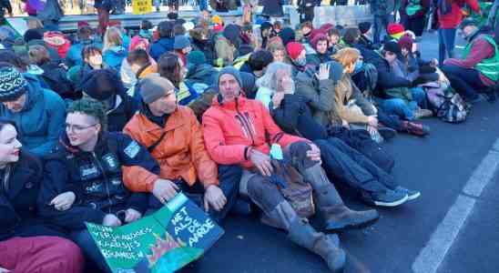 Festnahmen bei Klimademonstration in Den Haag Bauernprotest verlief reibungslos