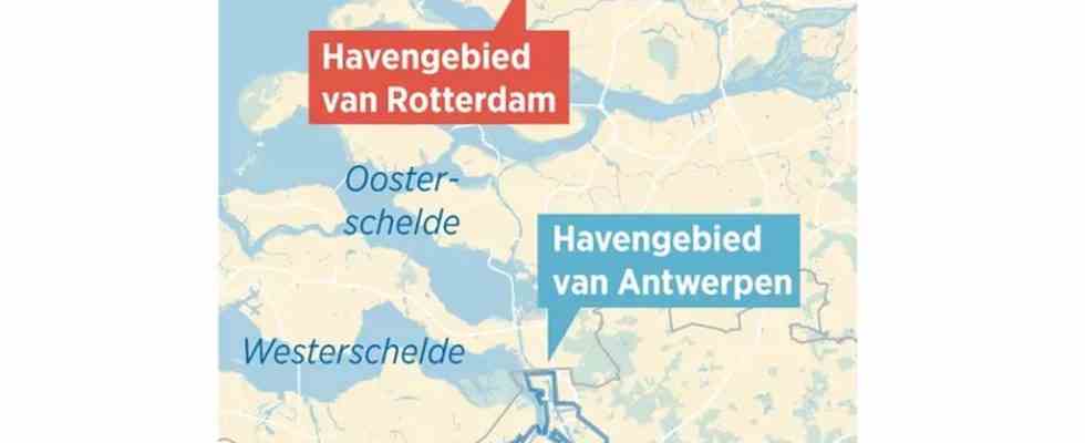 Im Rotterdamer Hafen riskieren junge „Diebe ihr Leben Aus