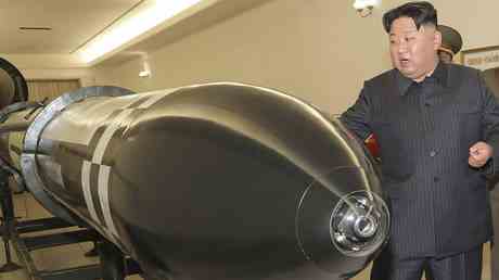 Nordkorea testet „Atomdrohne — World