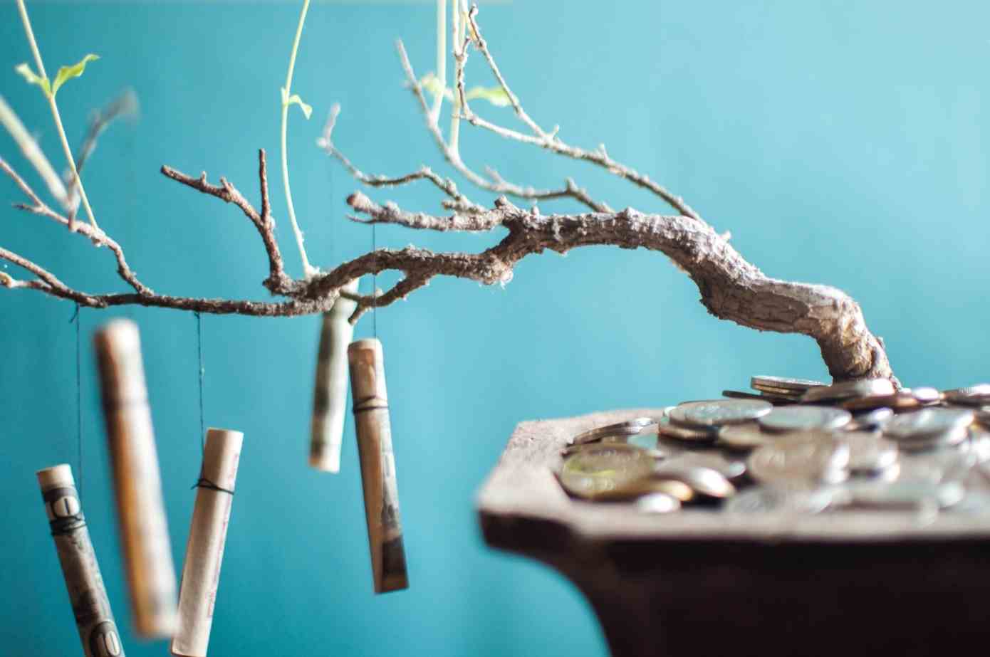 Gerollte Dollarscheine hängen an einem Bonsai-Baum.