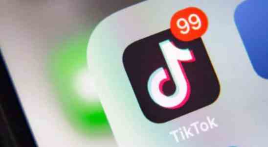 Tiktok TikTok CEO an die US Regierung 4 Gruende warum die App