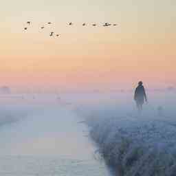 Wetterprognose Dichter Nebel im Norden und Westen dann viel Sonne